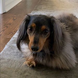 Meet your Posher, Jackie